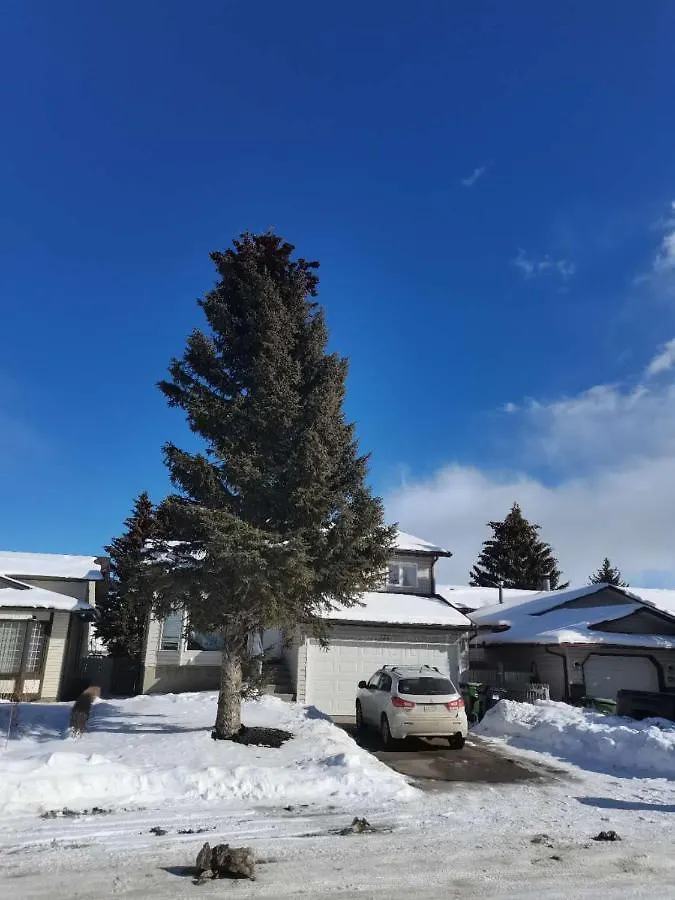 Lily Room Near Golf And Banff Costco Newly Renovated Queen Size Bed Single Bathroom Sofa Tv Calgary Canada